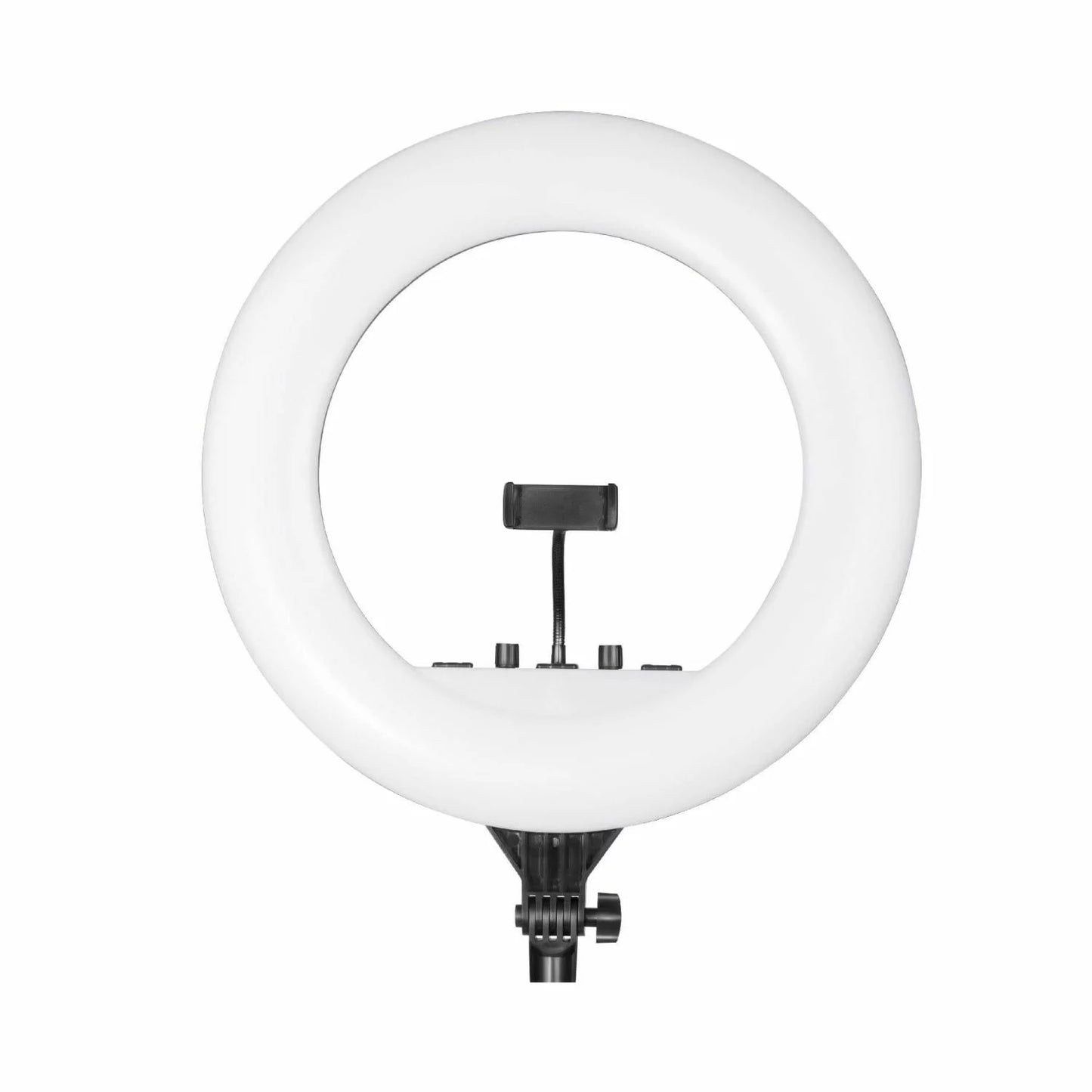 Digitek-Platinum-DPRL-19RT-Professional-LED-Ring-Light-Online-Buy-India - Hey Jimmy