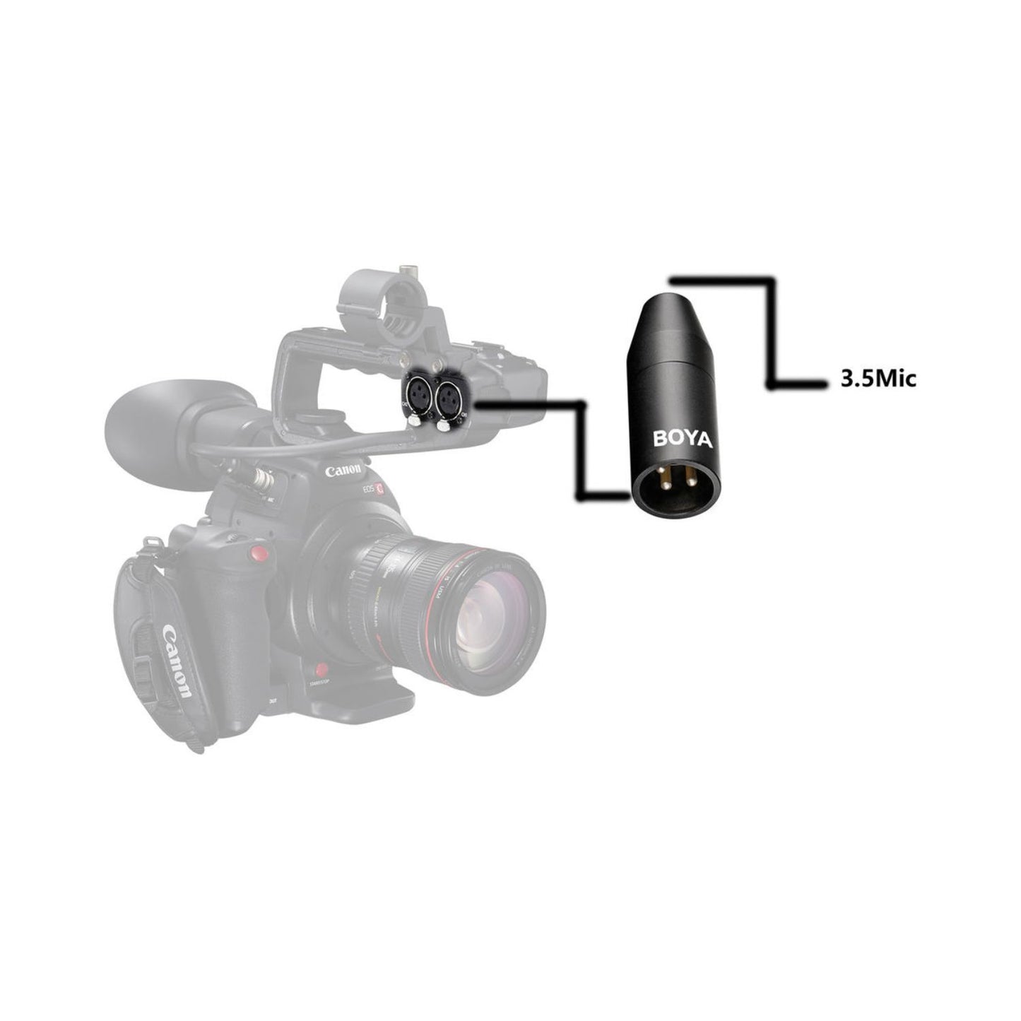 Boya-35C-XLR-3.5mm-Mini-Jack-to-XLR-Converter-Online-Buy-India_04 - Hey Jimmy