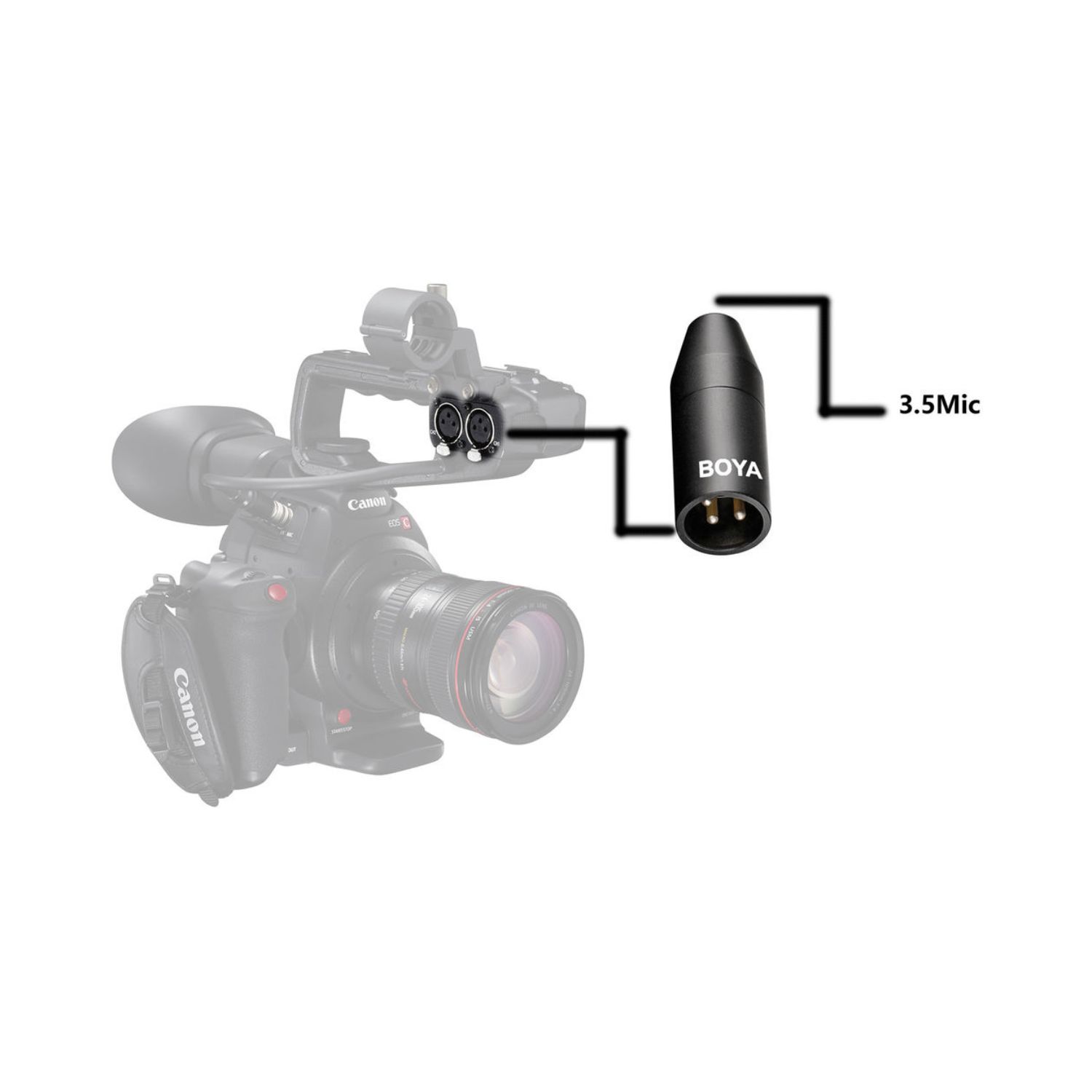 Boya-35C-XLR-3.5mm-Mini-Jack-to-XLR-Converter-Online-Buy-India_04 - Hey Jimmy