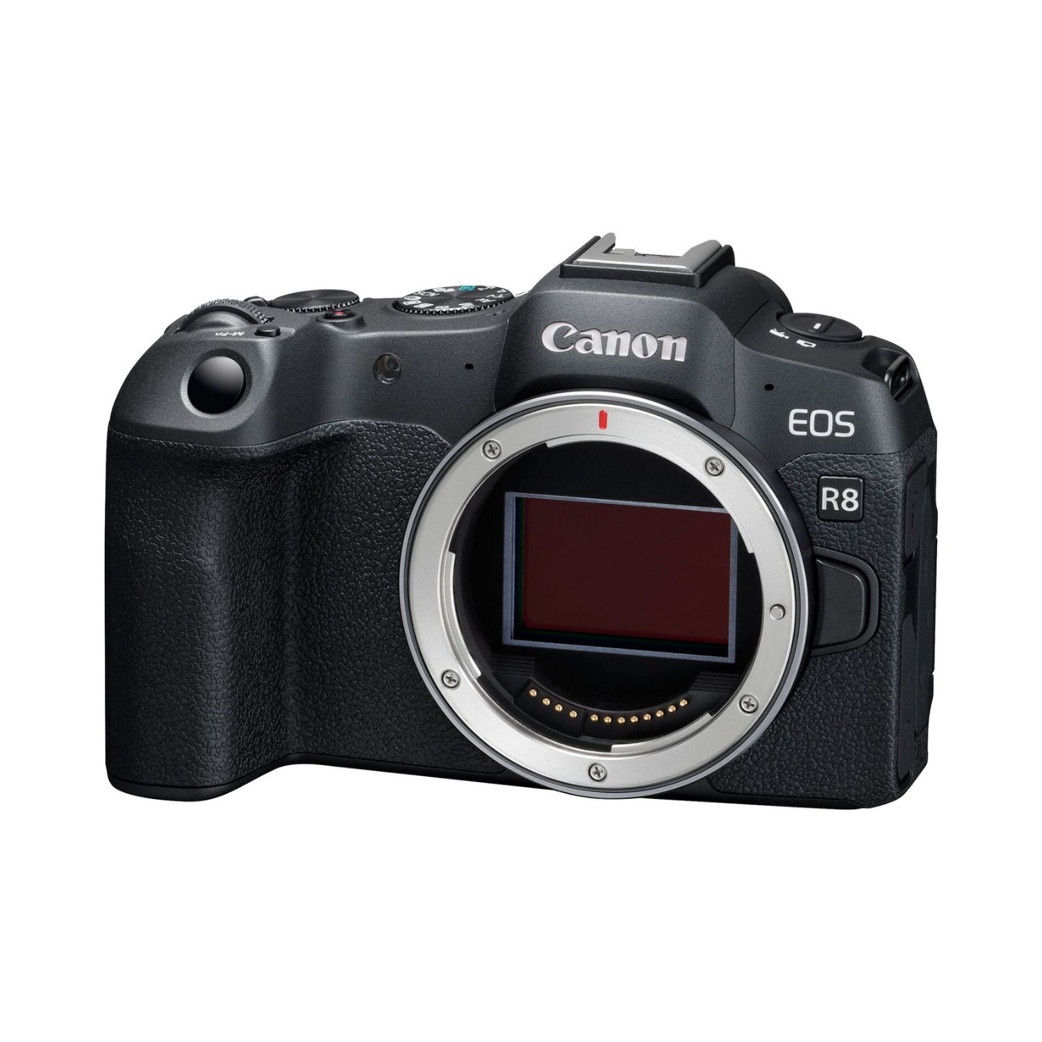 Canon-EOS-R8-Mirrorless-Camera-Body-Only-Online-Buy-Mumbai-India_1 - Hey Jimmy