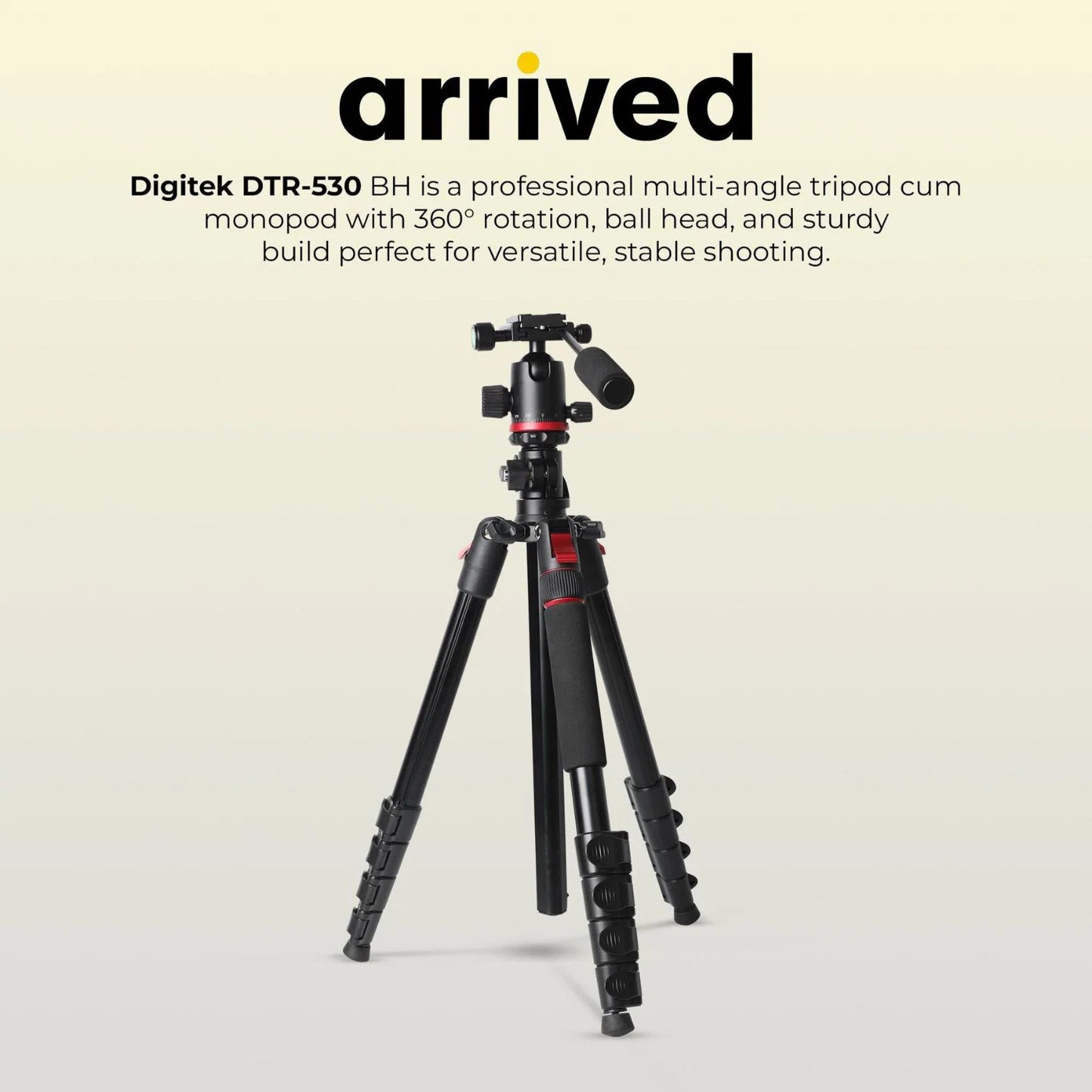 DigitekDTR530BHMulti-AngleDVTripodcumMonopodwithBallHeadOnlineBuyIndia_1 - Hey Jimmy