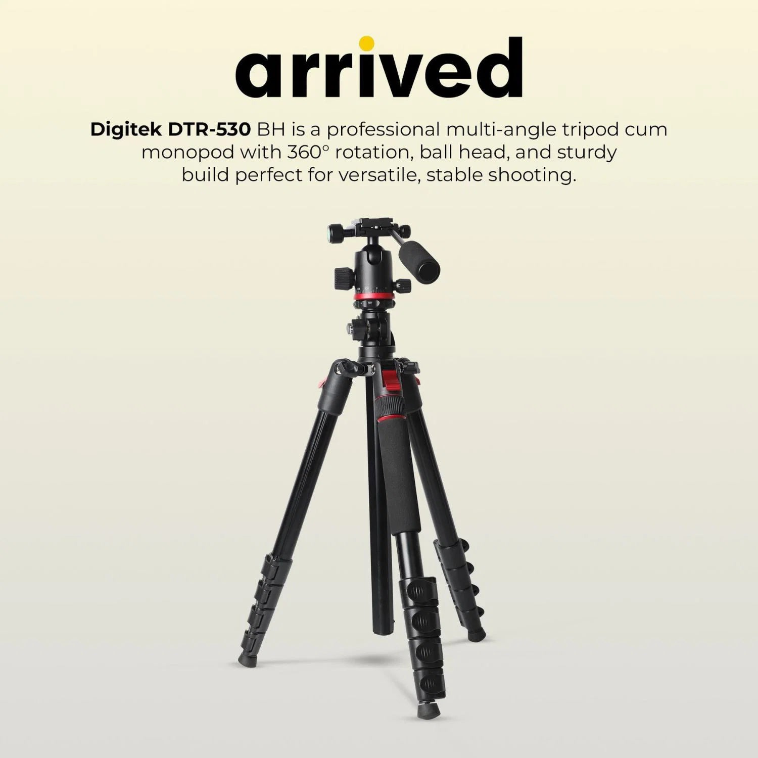 DigitekDTR530BHMulti-AngleDVTripodcumMonopodwithBallHeadOnlineBuyIndia_1 - Hey Jimmy