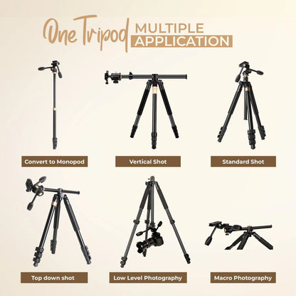DigitekDTR620BHMulti-Angle6ftDVTripodCumMonopodOnlineBuyIndia_10 - Hey Jimmy