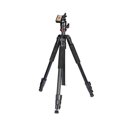 Hama-Traveller-163-Ball-Tripod-Online-Buy-Mumbai-India_3 - Hey Jimmy