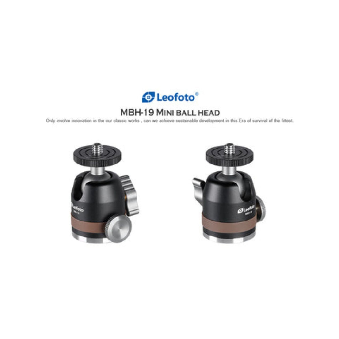 Leofoto-MT-03-Spider-Table-Tripod-with-MBH-19-Ball-Head-Online-Buy-Mumbai-India_03 - Hey Jimmy