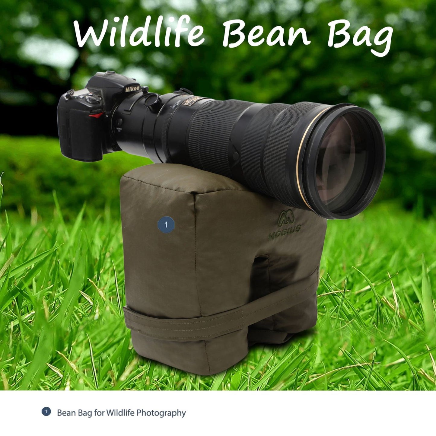 Mobius-Triumph-Wildlife-Bean-Bag-Olive-Green-Online-Buy-Mumbai-India_4 - Hey Jimmy