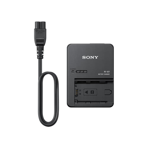 Sony FZ100 Battery with QZ1 Charger Combo Kit - Online Buy in Mumbai, India