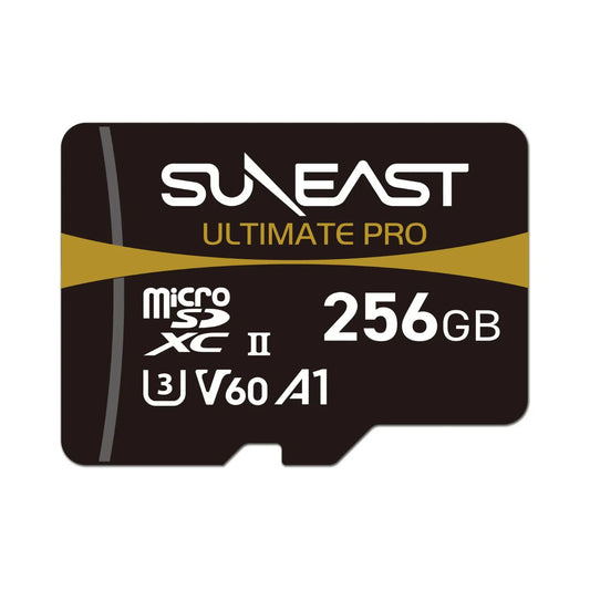 Suneast256GBMicroSDXCUHS-IIV60CardGoldSeriesOnlineBuyIndia - Hey Jimmy