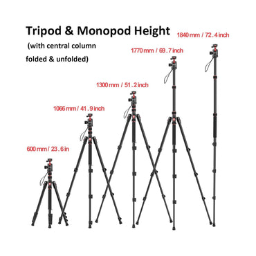 Ulanzi TT31 72.4" Tripod/Monopod