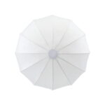 Godox CS-85D Collapsible Lantern Softbox