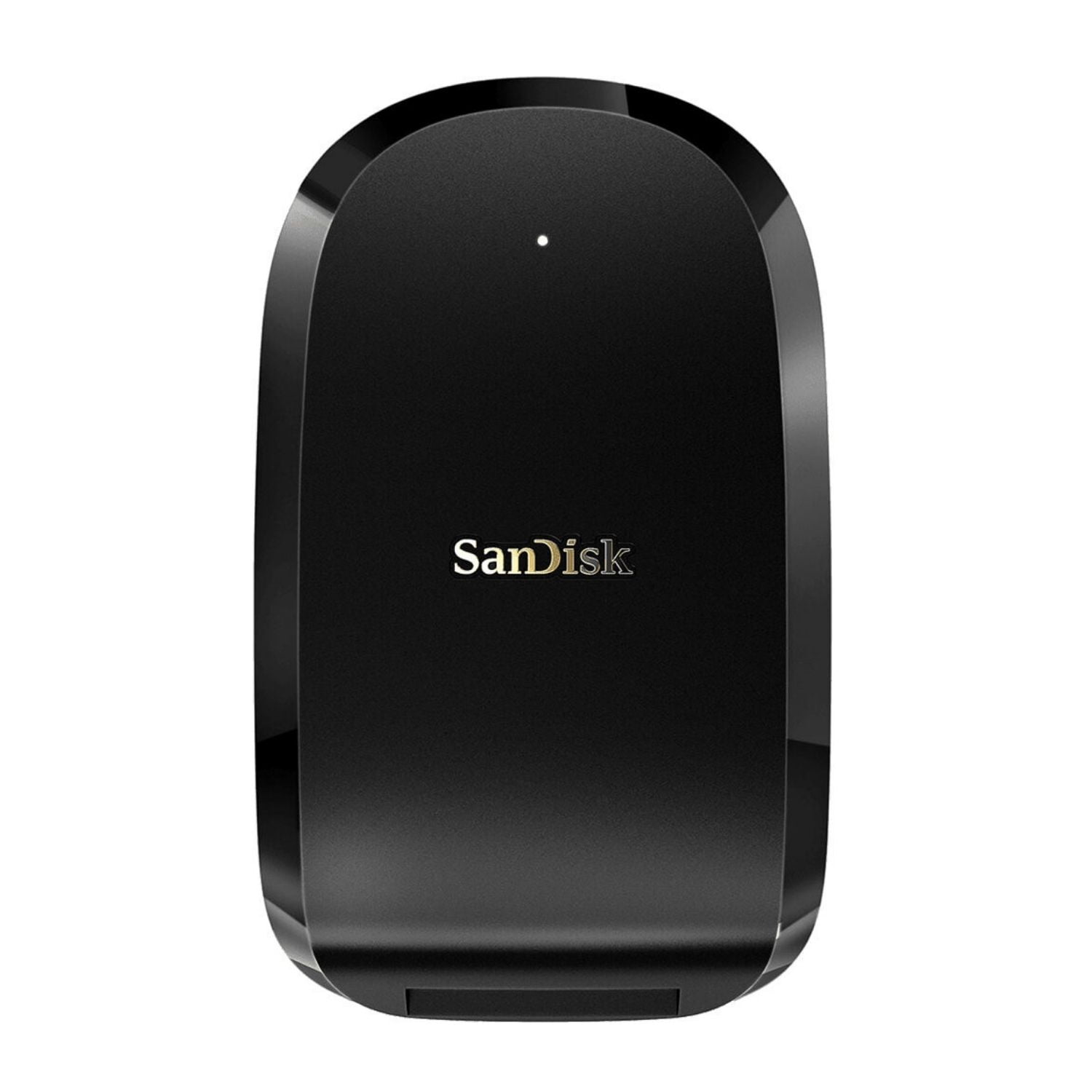 Sandisk Memory Kit: 256GB CFexpress Type B Card + Reader Bundle with FREE 64GB SDXC UHS-I Card