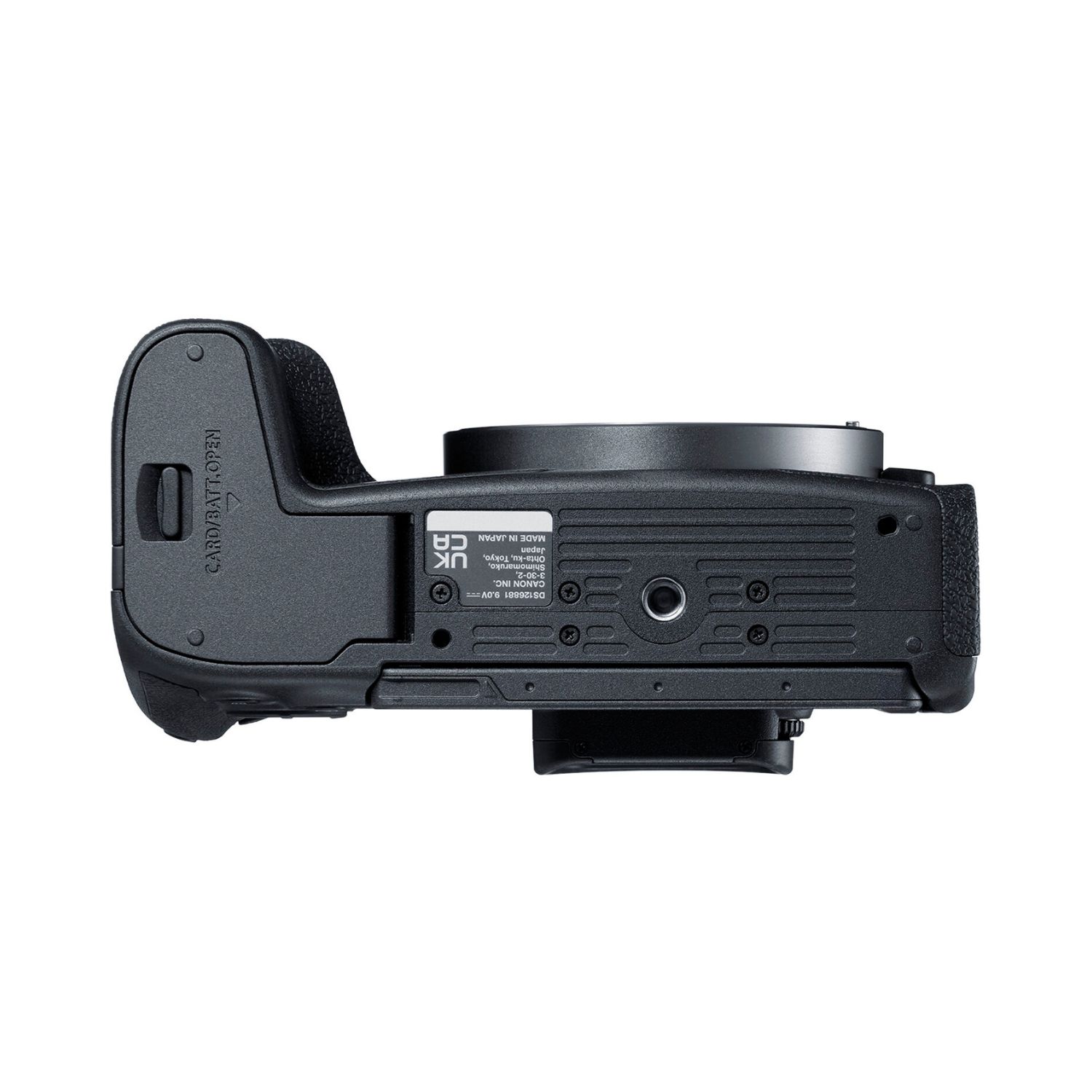 Canon EOS R8 Mirrorless Camera Body Only