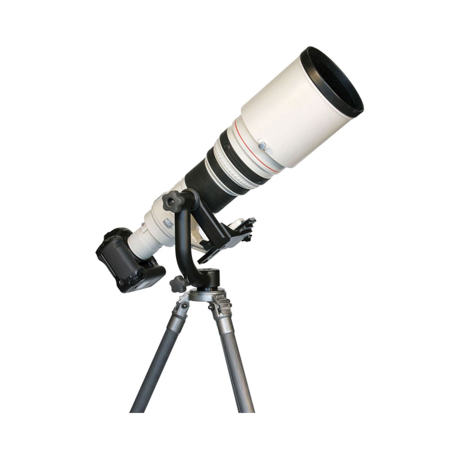 Wimberley WH-200 II Tripod Gimbal Head with Quick Release Base