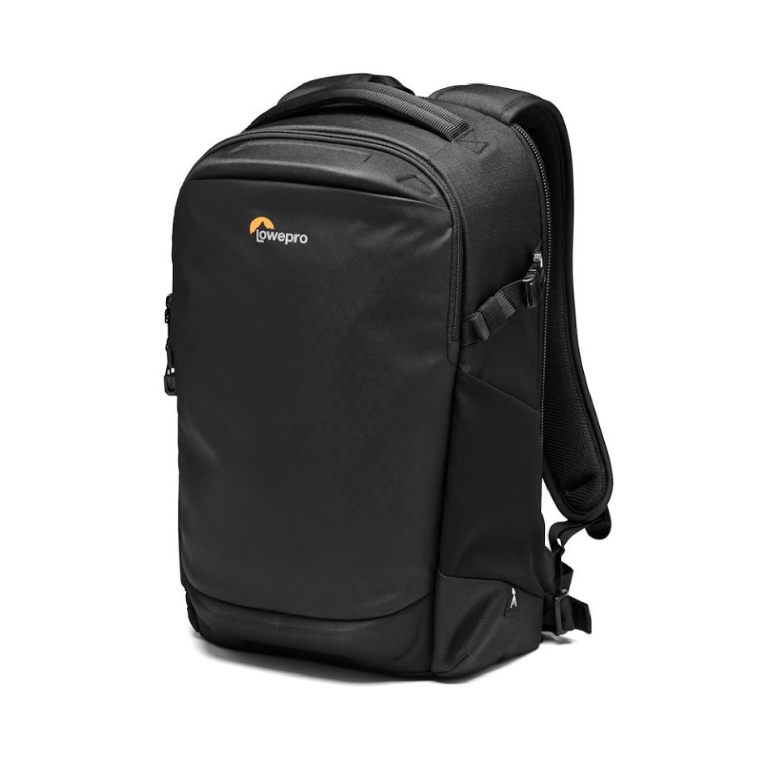 Lowepro Flipside 300 AW III Camera Backpack (Black)