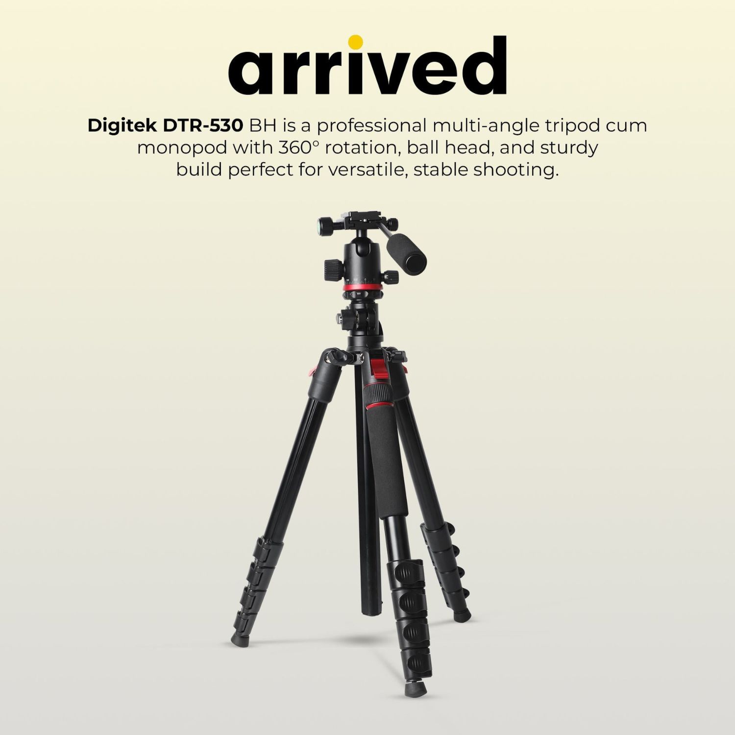 Digitek DTR 530 BH Multi-Angle DV Tripod cum Monopod with Ball Head
