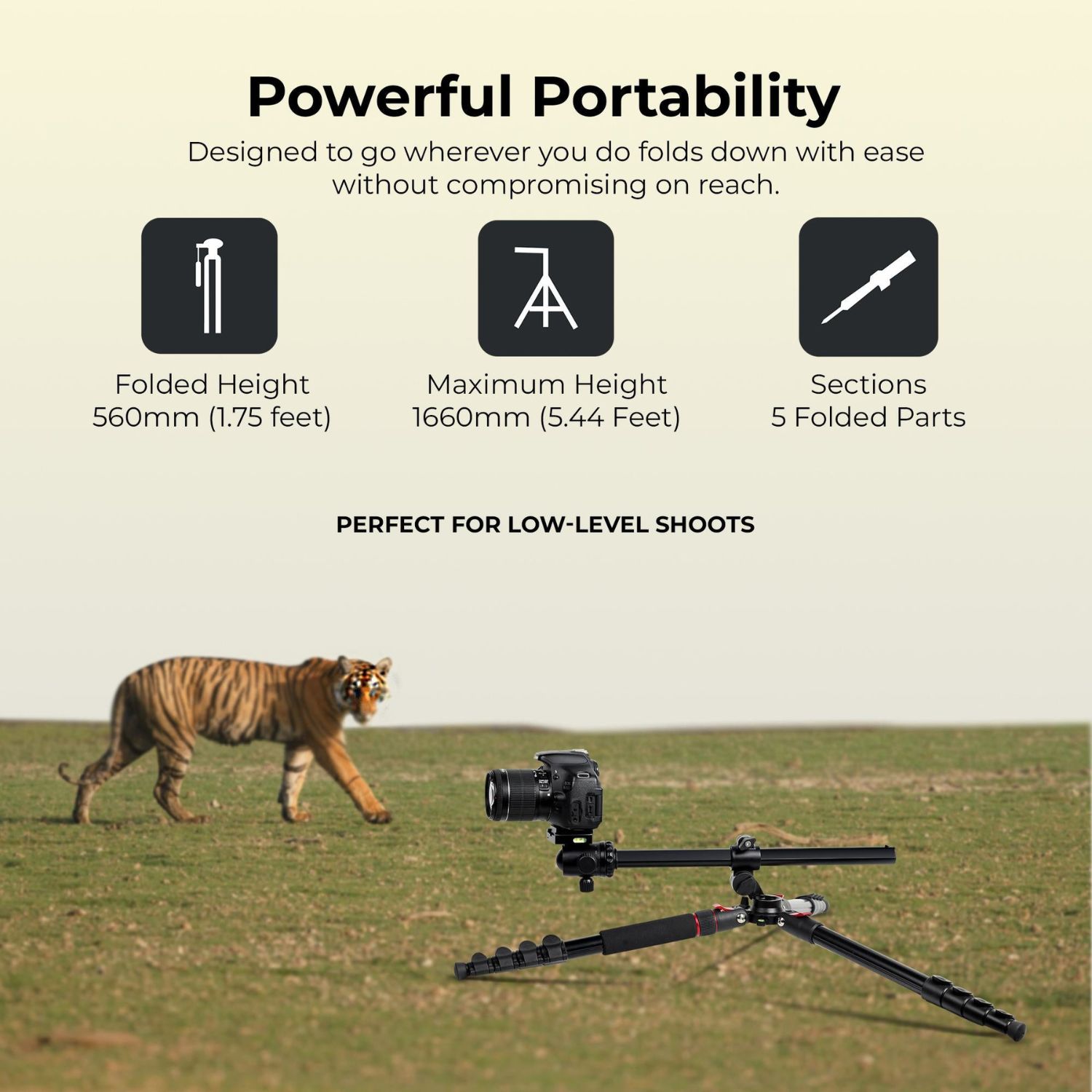 Digitek DTR 530 BH Multi-Angle DV Tripod cum Monopod with Ball Head