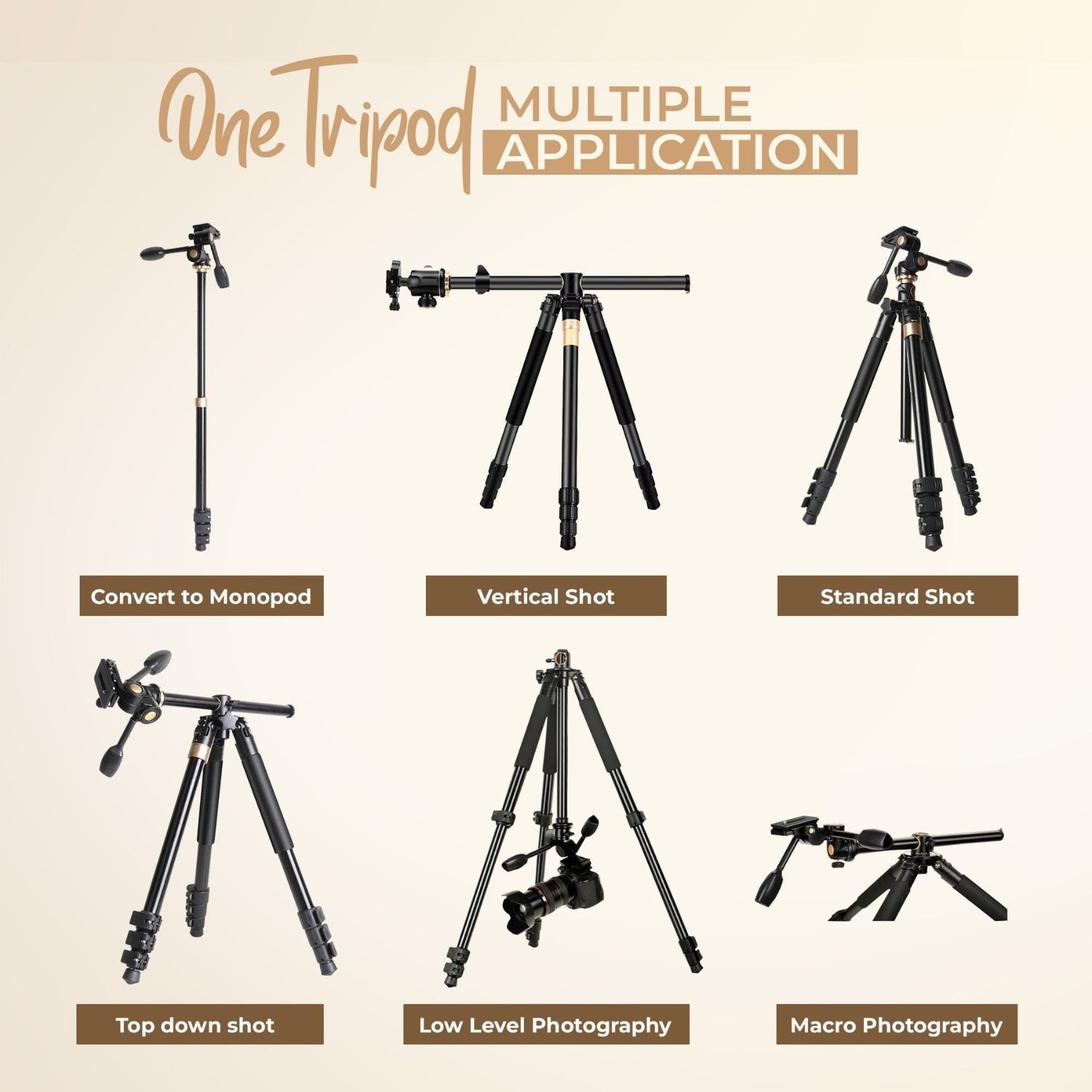 Digitek DTR 620 BH Multi-Angle 6ft DV Tripod Cum Monopod