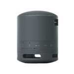 Sony XB100 Portable Bluetooth Speaker (Black)